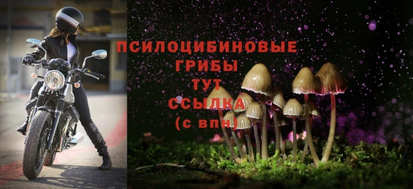 шишки Медногорск