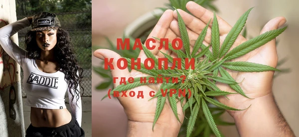 дживик Мегион