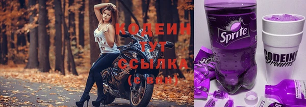дживик Мегион