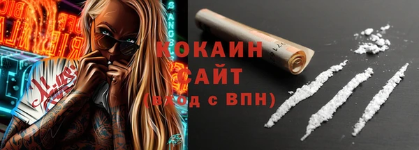 шишки Медногорск